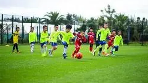 《巨星宠妻：我的明星老婆》新章节揭晓