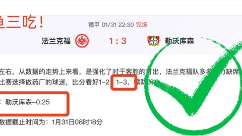 激战正酣！温哥篮球传奇，5胜4佳绩闪耀，黑字逆袭，热血沸腾！